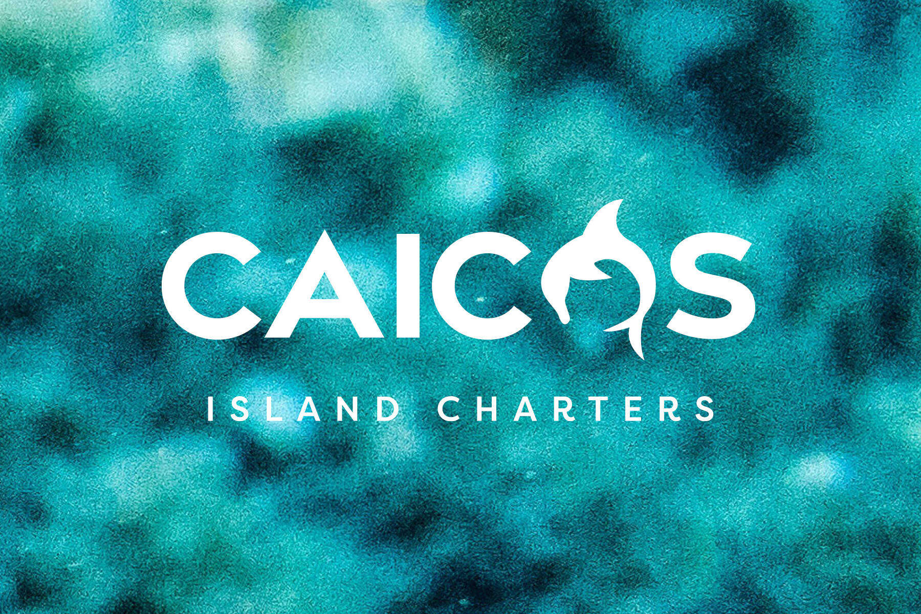 Caicos_island_charters_turks-caicos-tour-guides-boating-brand-design-website