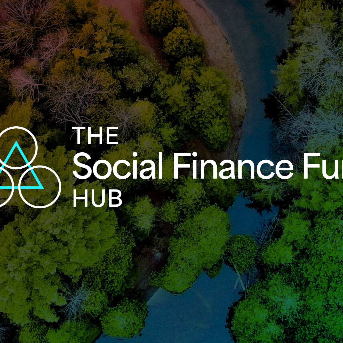 social-finance-fund-hub-canadian-graphic-brand-designer