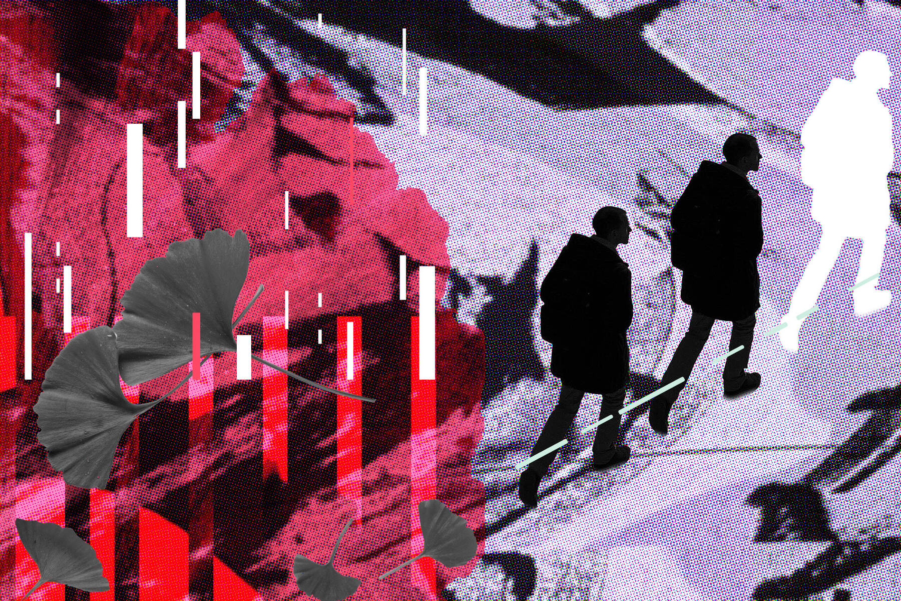 wendy-h-wong-canadian-researcher-toronto-graphic-brand-designer