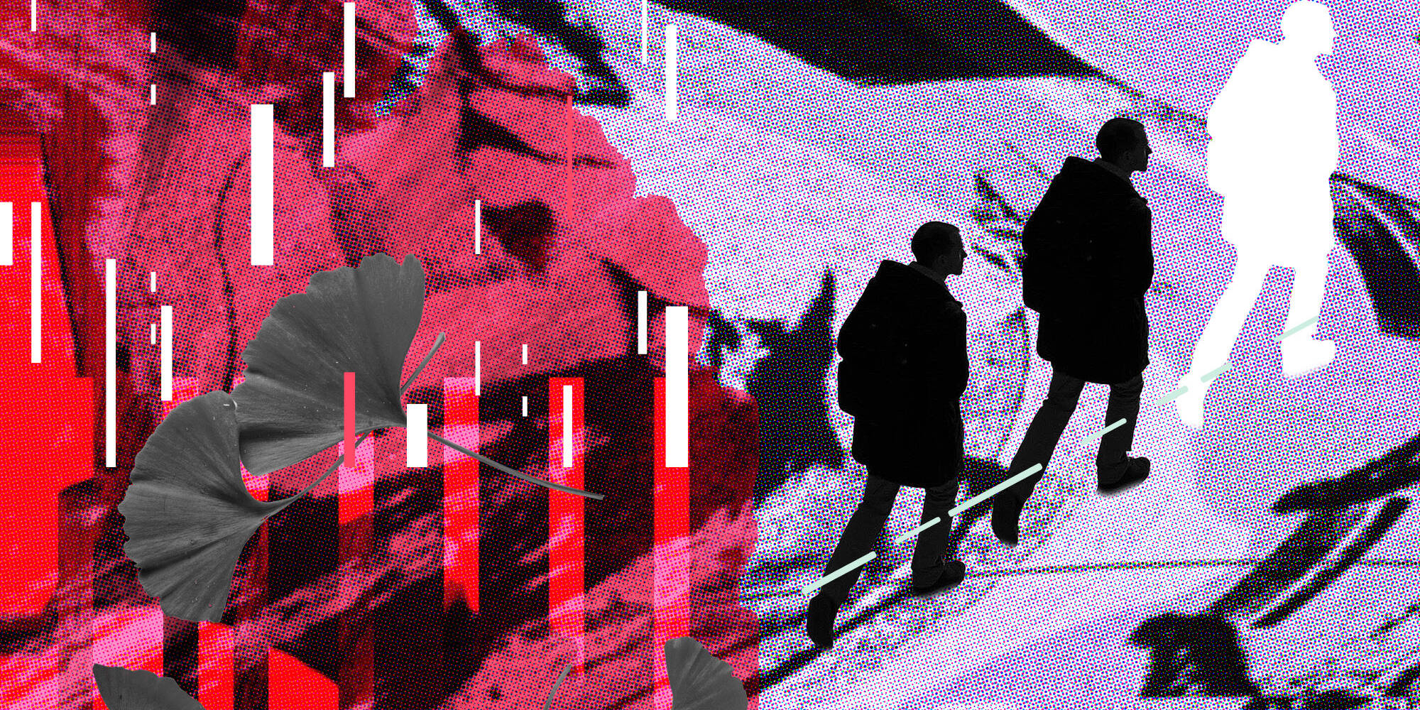 wendy-h-wong-canadian-researcher-toronto-graphic-brand-designer