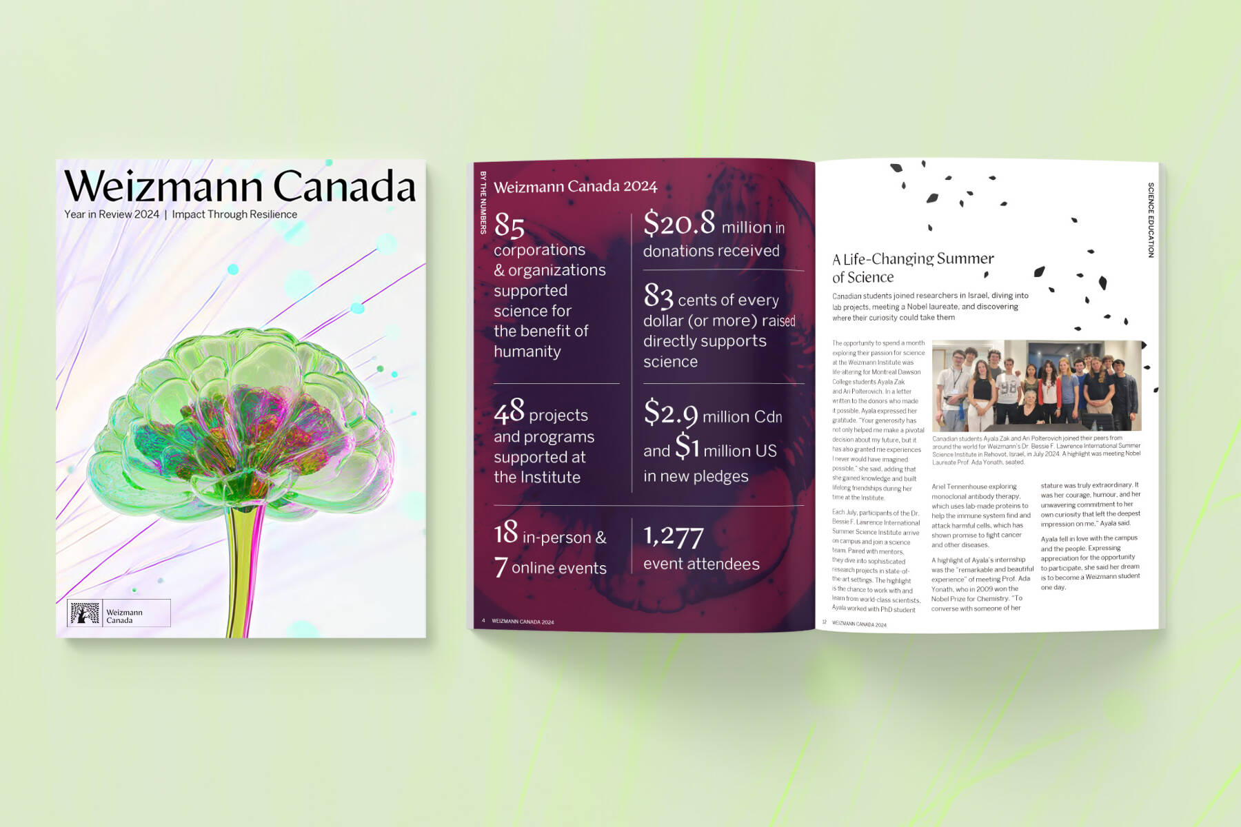 Impact-report-designer-toronto-ontario-canada-universe
