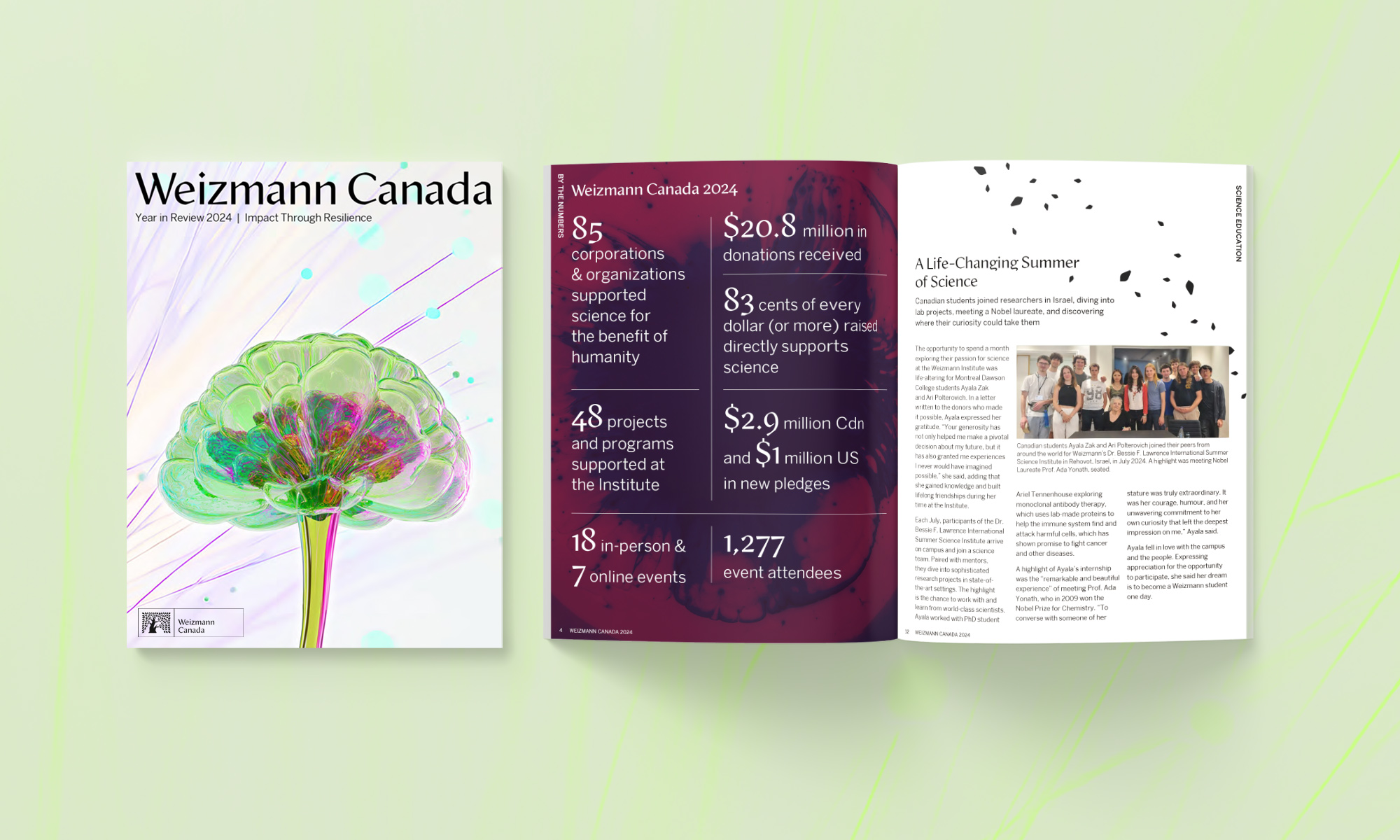 Impact-report-designer-toronto-ontario-canada-universe