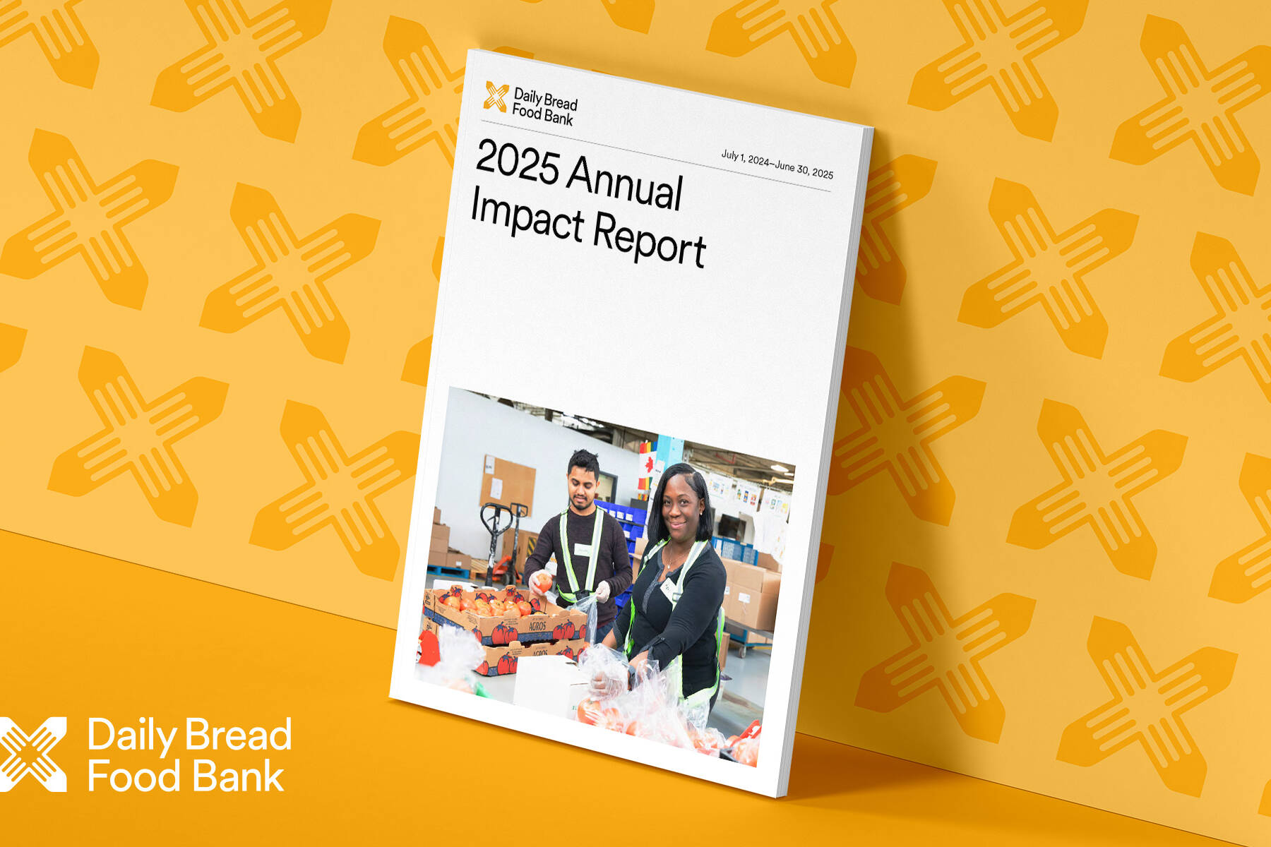 report-designer-accessible-impact-ontario