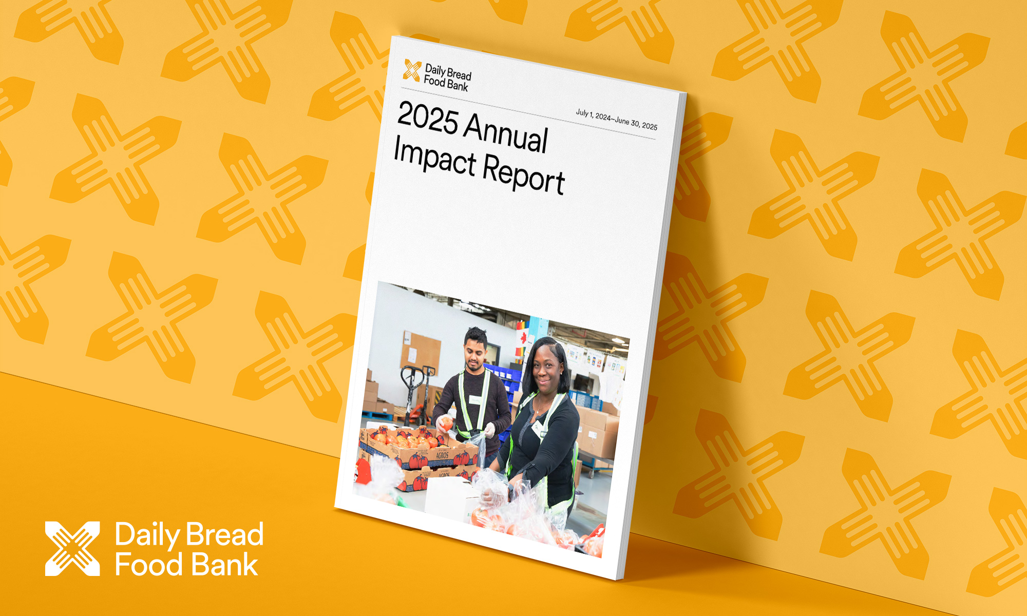 report-designer-accessible-impact-ontario