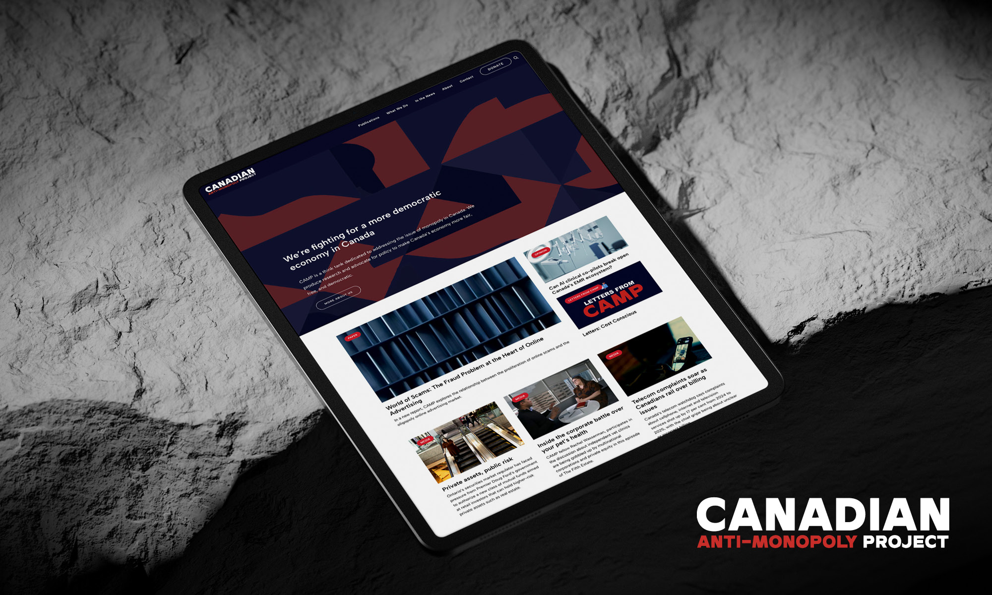 Canadian Anti-Monopoly Project think tank website-ft