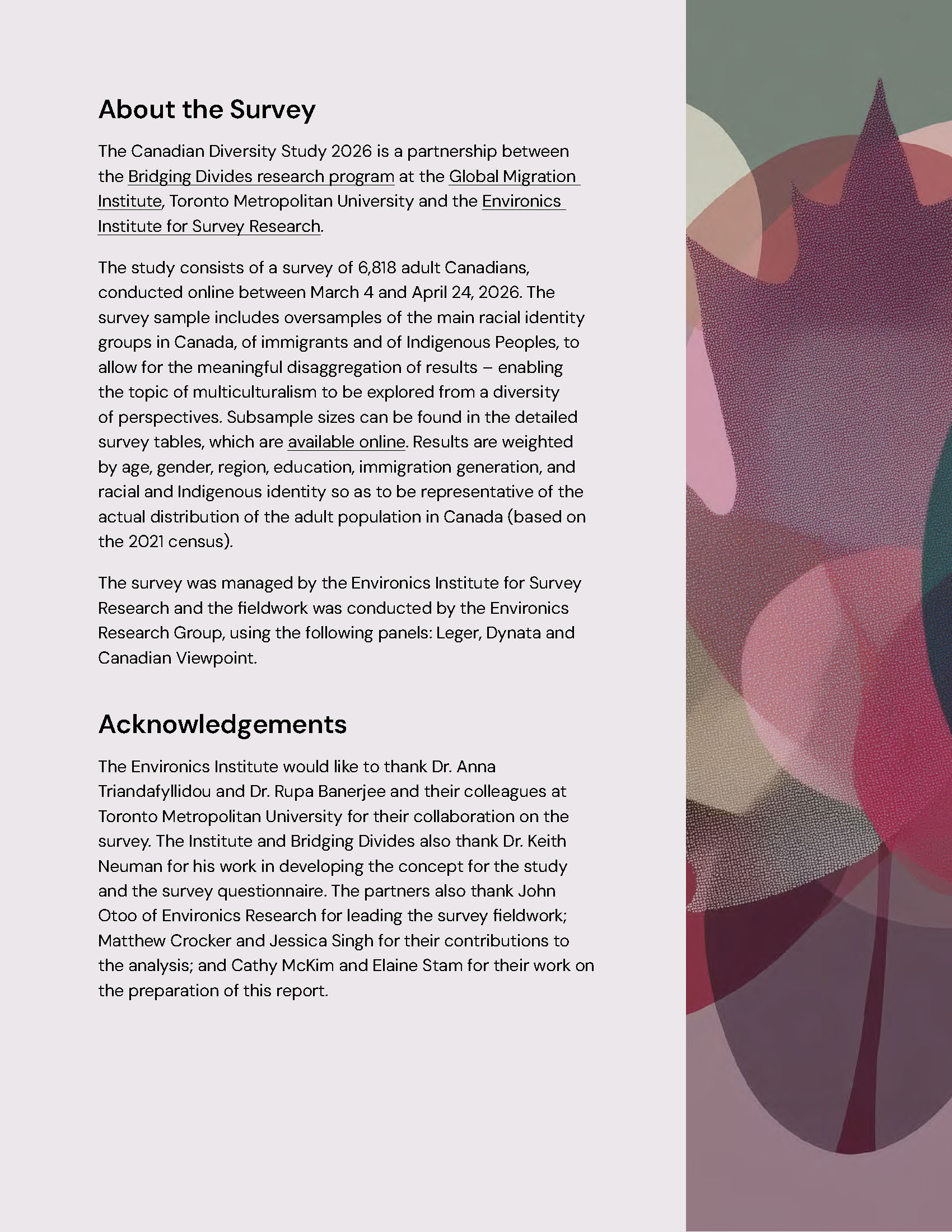 Accessible report design for the Canadian Perspectives on Multiculturalism and Diversity research publication featuring custom branding, AI-generated artwork, and clear information design.