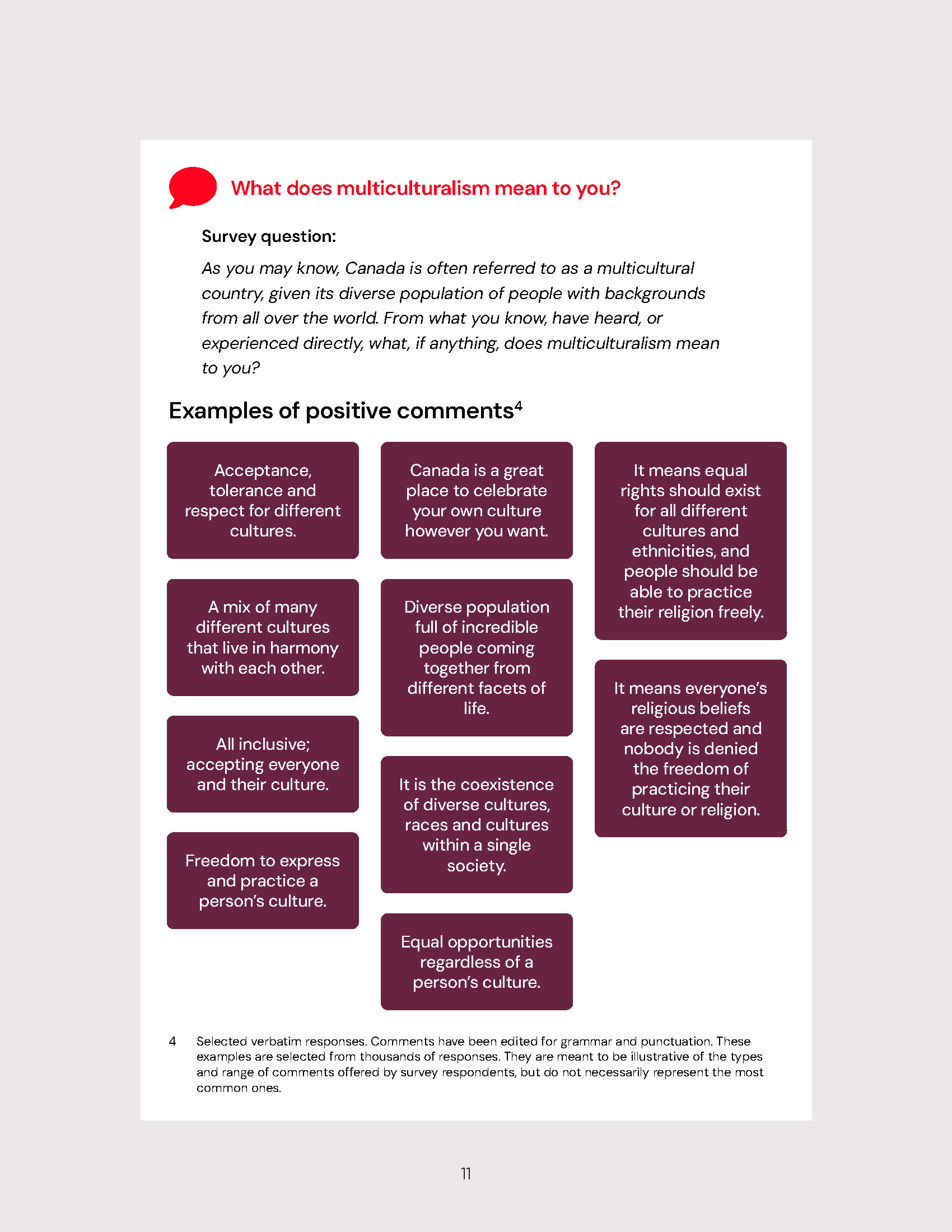 Accessible report design for the Canadian Perspectives on Multiculturalism and Diversity research publication featuring custom branding, AI-generated artwork, and clear information design.