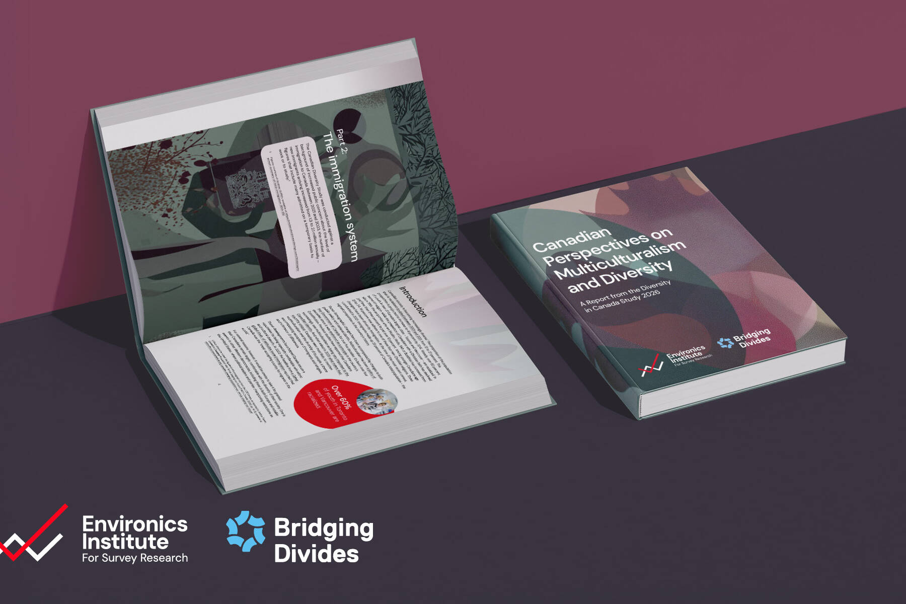 canadian-perspectives-multiculturalism-diversity-report-design