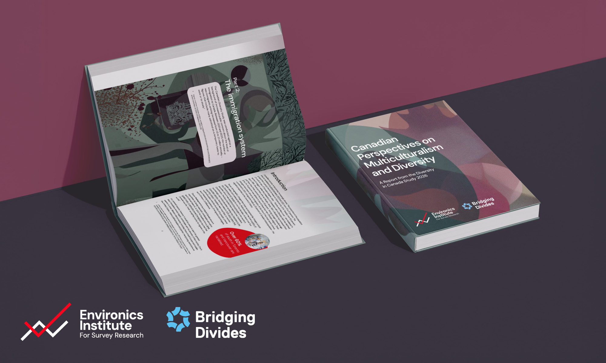 canadian-perspectives-multiculturalism-diversity-report-design